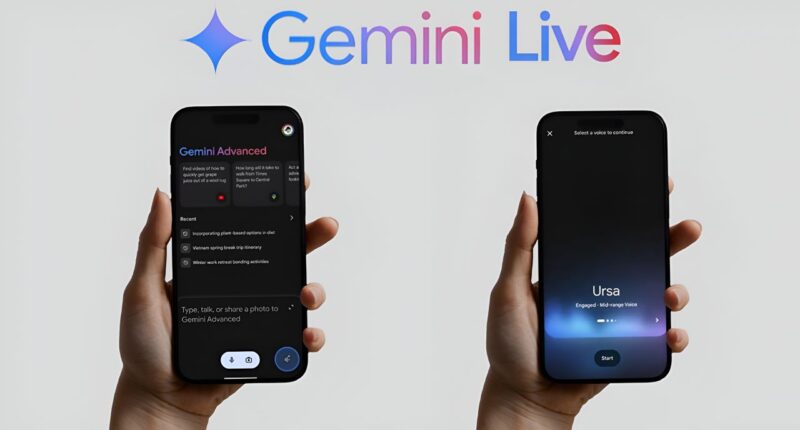 gemini live